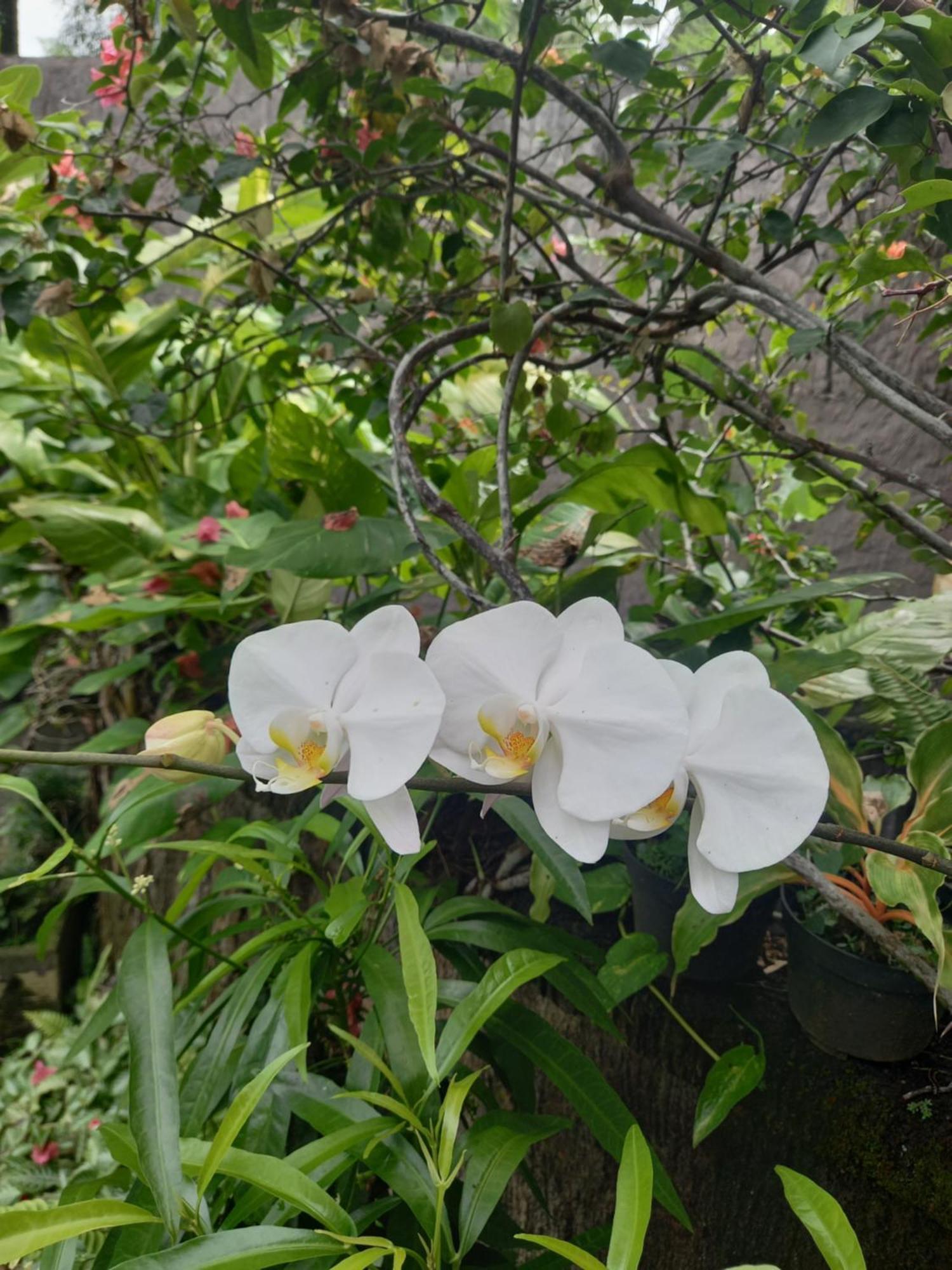 Hidden Point Villa Ubud Quarto foto